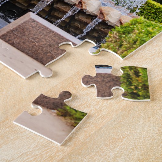 Puzzle Pineapple Fountain à Charleston (Côté)