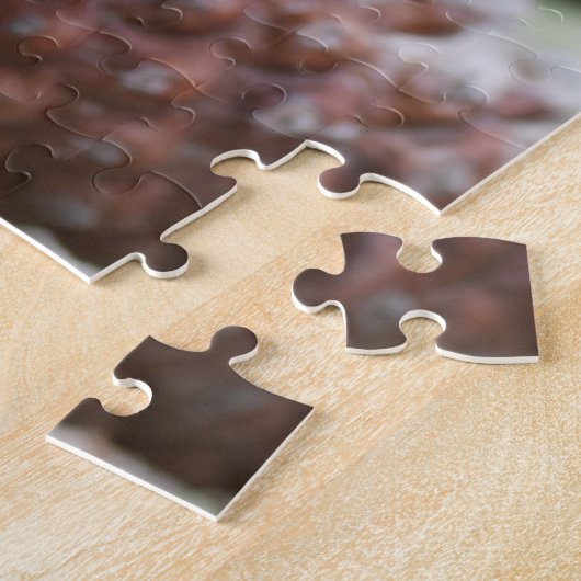 Puzzle Pinecones (Côté)