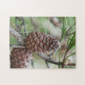 Puzzle Pinecones (Horizontal)