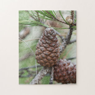 Puzzle Pinecones