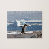 Puzzle Pingouin devant une arche de glace (Horizontal)