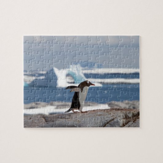 Puzzle Pingouin devant une arche de glace (Horizontal)