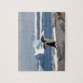 Puzzle Pingouin devant une arche de glace (Vertical)