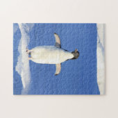 Puzzle Pingouin drôle sur la glace (Horizontal)