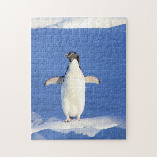 Puzzle Pingouin drôle sur la glace (Vertical)