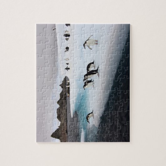 Puzzle Pingouins (Vertical)