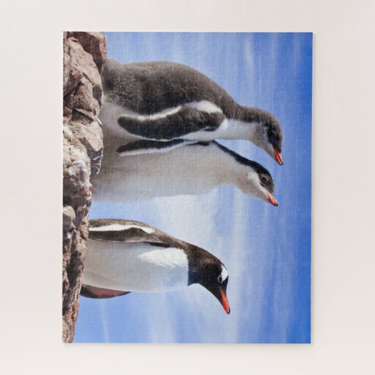 Puzzle Pingouins en Antarctique (Vertical)
