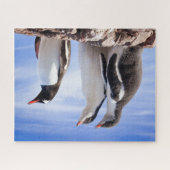 Puzzle Pingouins en Antarctique (Horizontal)