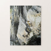 Puzzle Pingouins Humboldt. (Vertical)