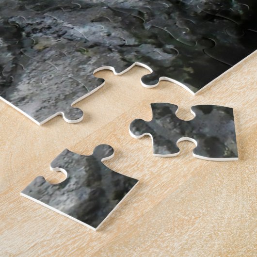 Puzzle Pingouins Humboldt. (Côté)