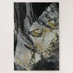 Puzzle Pingouins Humboldt.