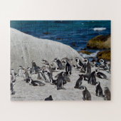 Puzzle Pingouins sur la baie de rochers (Horizontal)