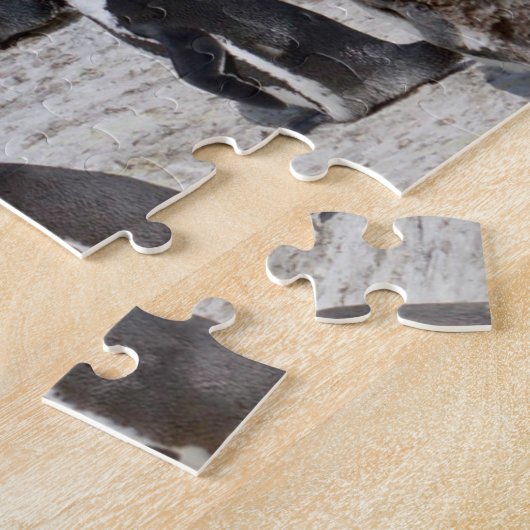 Puzzle Pingouins sur la baie de rochers (Côté)