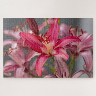 Puzzle Pink Asiatic Lily - Élégante Photographie Fleur