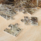 Puzzle Pink cactus flowers in Red Rock Canyon, NV (Côté)