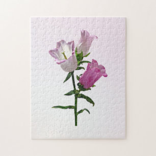 Puzzle Pink Canterbury Bells