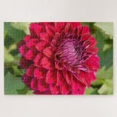 Puzzle Pink Dahlia Delight : Belle Photographie Fleur (Horizontal)