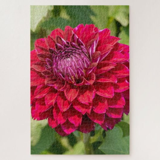 Puzzle Pink Dahlia Delight : Belle Photographie Fleur (Vertical)