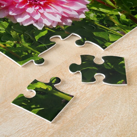 Puzzle Pink Dahlias (Otto's Thrill) (Côté)