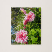 Puzzle Pink Dahlias (Otto's Thrill) (Vertical)