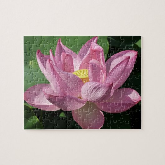 Puzzle Pink Lotus Flower IV (Horizontal)