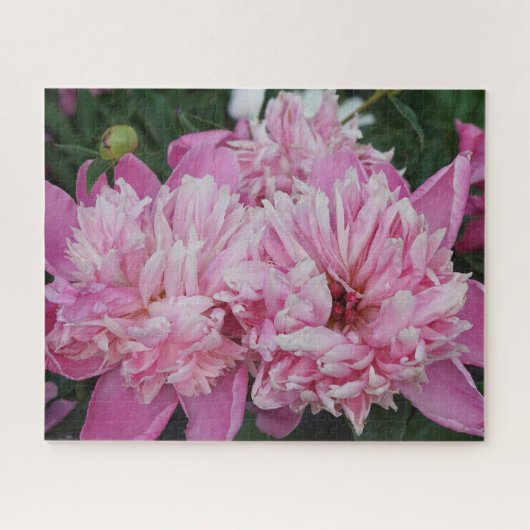 Puzzle Pink Peonies (Horizontal)