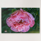 Puzzle Pink Peony, photo florale canadienne (Horizontal)