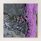 Puzzle Pink Phlox sur Boulder (Horizontal)