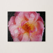 Puzzle Pink Rose w/ Dew Drops Black Background (Horizontal)