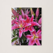 Puzzle Pink Stargazer Lily (Vertical)