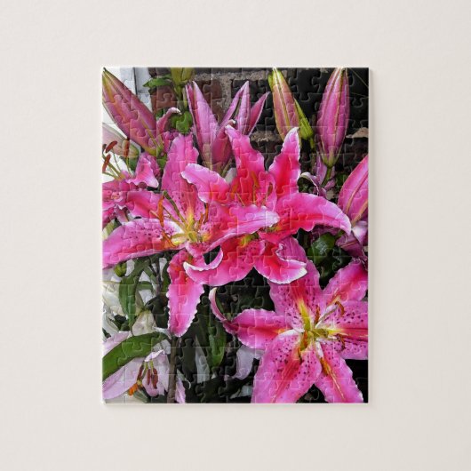 Puzzle Pink Stargazer Lily (Vertical)