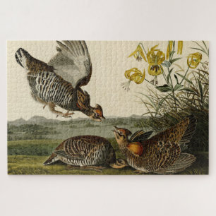 Puzzle Pinnated Grouse