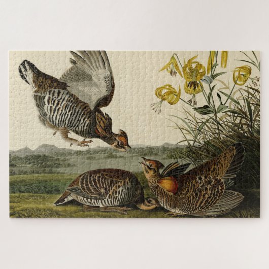 Puzzle Pinnated Grouse (Horizontal)