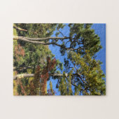 Puzzle Pins dans le ciel d'automne (Horizontal)