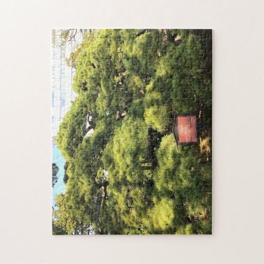 Puzzle Pins de 300 ans (Vertical)