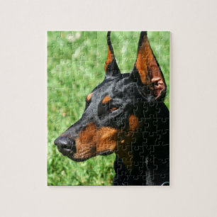 Puzzle Pinscher de dobermann