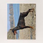 Puzzle Pinscher noir et tan Doberman sur le rivage (Vertical)