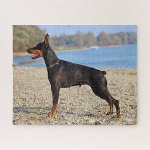 Puzzle Pinscher noir et tan Doberman sur le rivage
