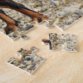 Puzzle Pinscher noir et tan Doberman sur le rivage (Côté)