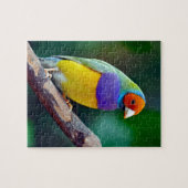 Puzzle Pinson gouldian coloré (Horizontal)