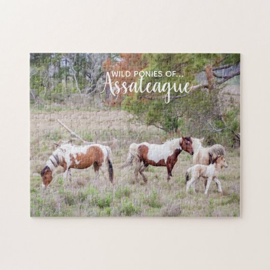 Puzzle Pinto et Peindre les Ponies sauvages d'Assateague (Horizontal)