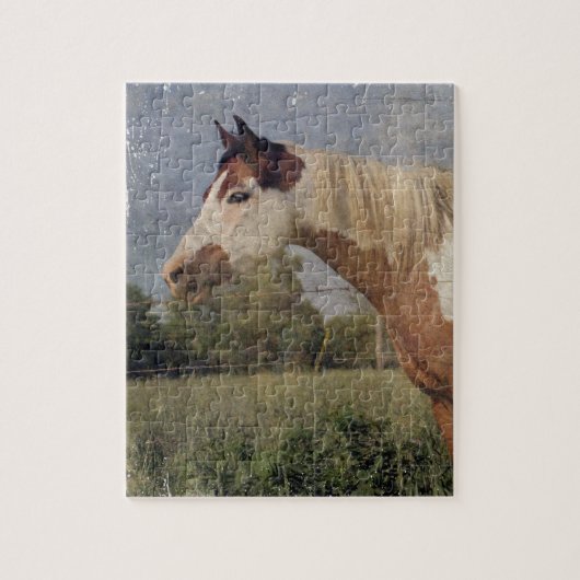 Puzzle Pinto Horse Grunge (Vertical)