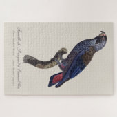 Puzzle Pionus sombre, Pionus fuscus (Horizontal)