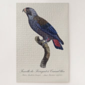 Puzzle Pionus sombre, Pionus fuscus (Vertical)