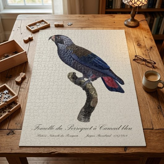 Puzzle Pionus sombre, Pionus fuscus