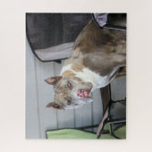Puzzle Pit Bull (Vertical)