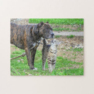 Puzzle Pit Bull et Cat