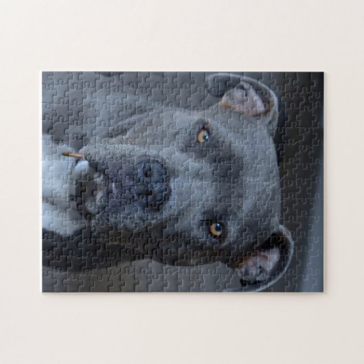 Puzzle Pitbull (Horizontal)
