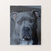 Puzzle Pitbull (Vertical)