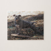 Puzzle Pitbull avec le casse-tête (Horizontal)